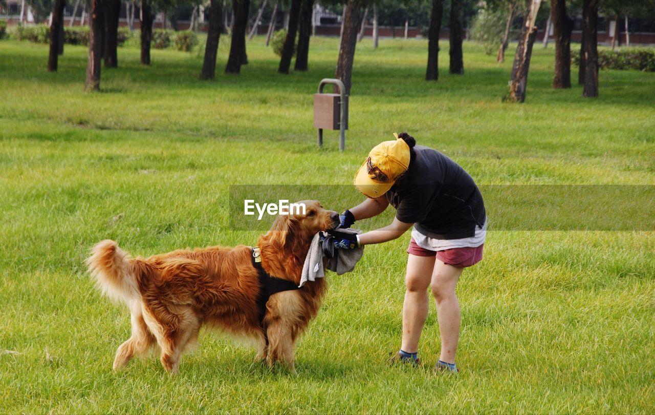 Girl with dog on grassy field