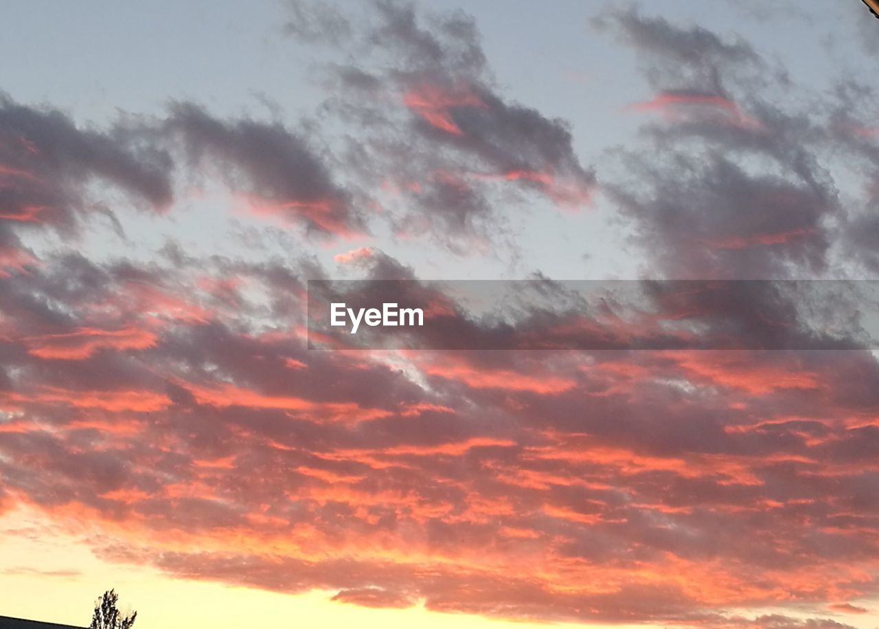 LOW ANGLE VIEW OF CLOUDS IN SKY DURING SUNSET