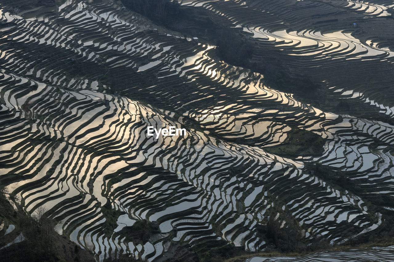 High angle view of rice terrace at yuanyang