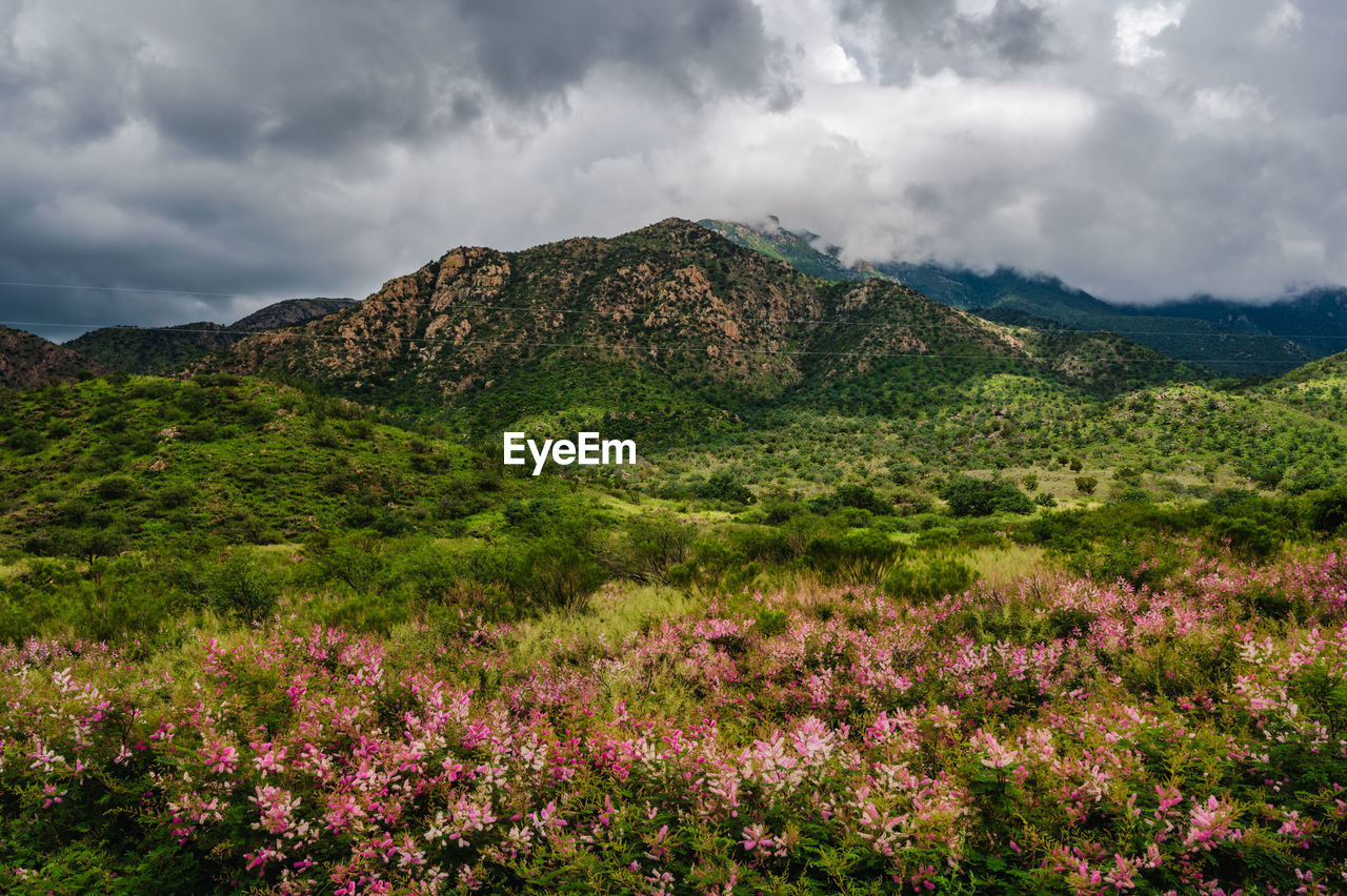 Panoramic view of landscape against sky