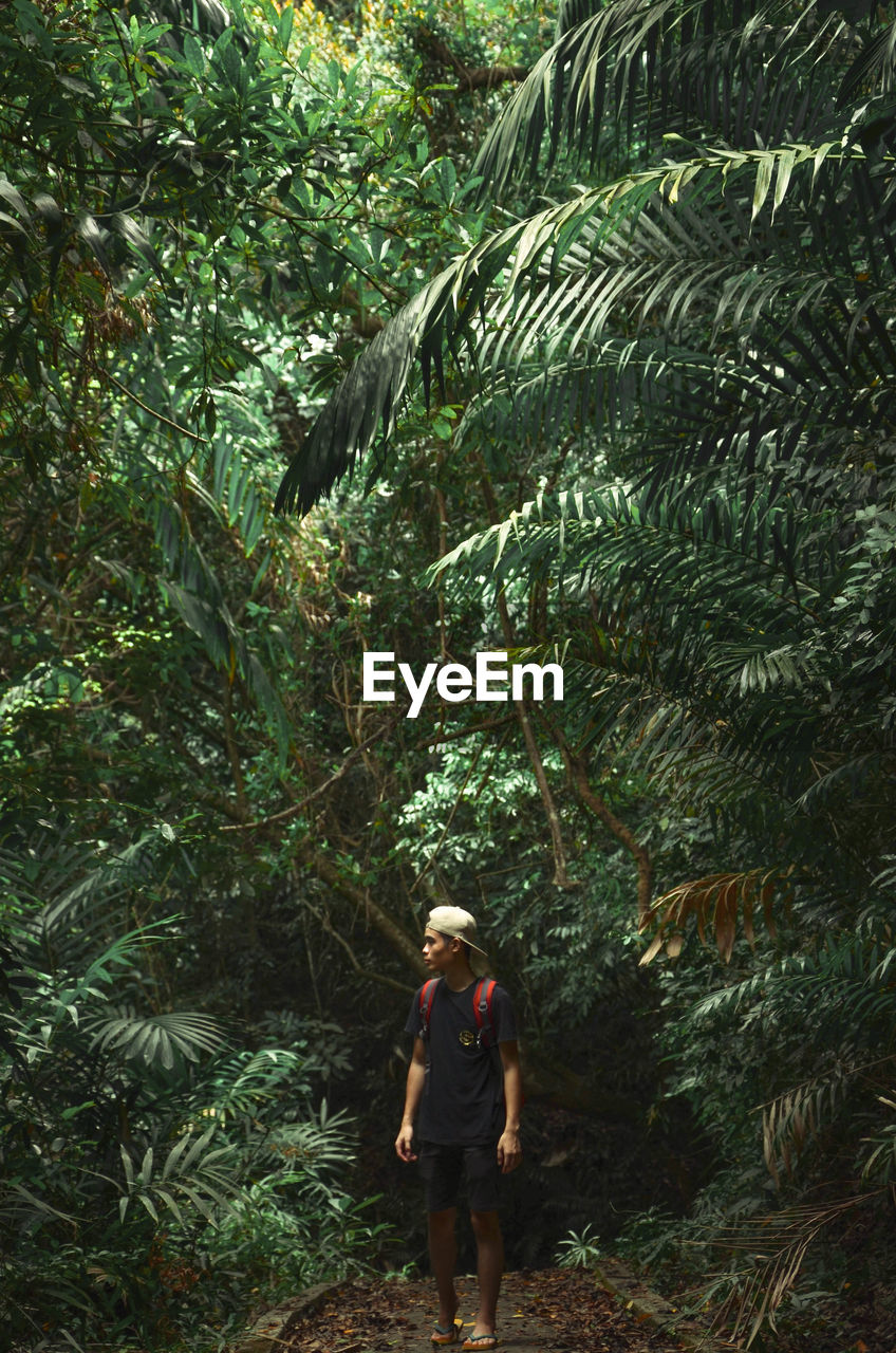 Full length of man walking against treed in forest