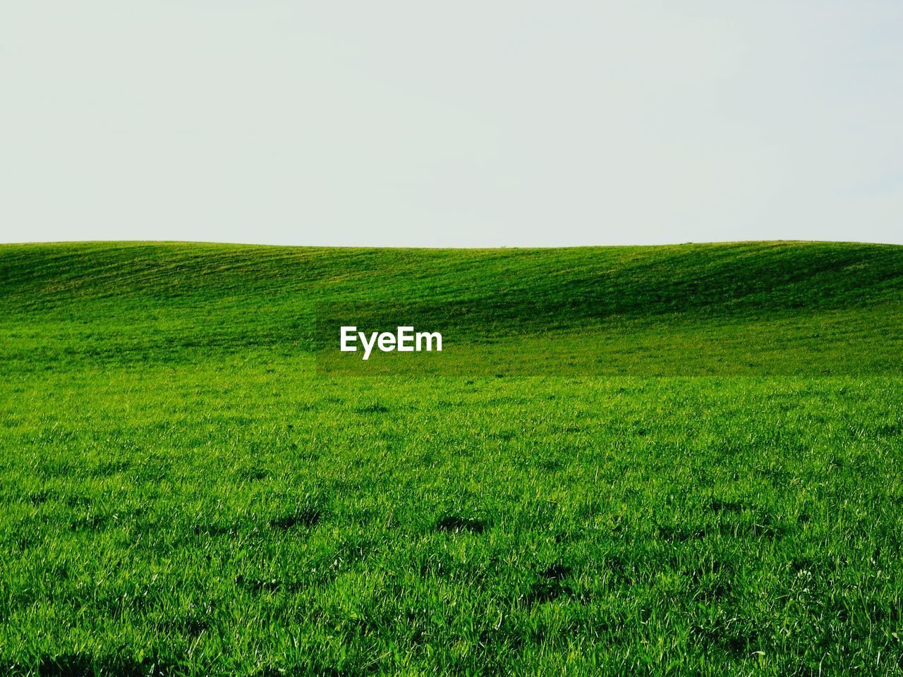 Green landscape against clear sky