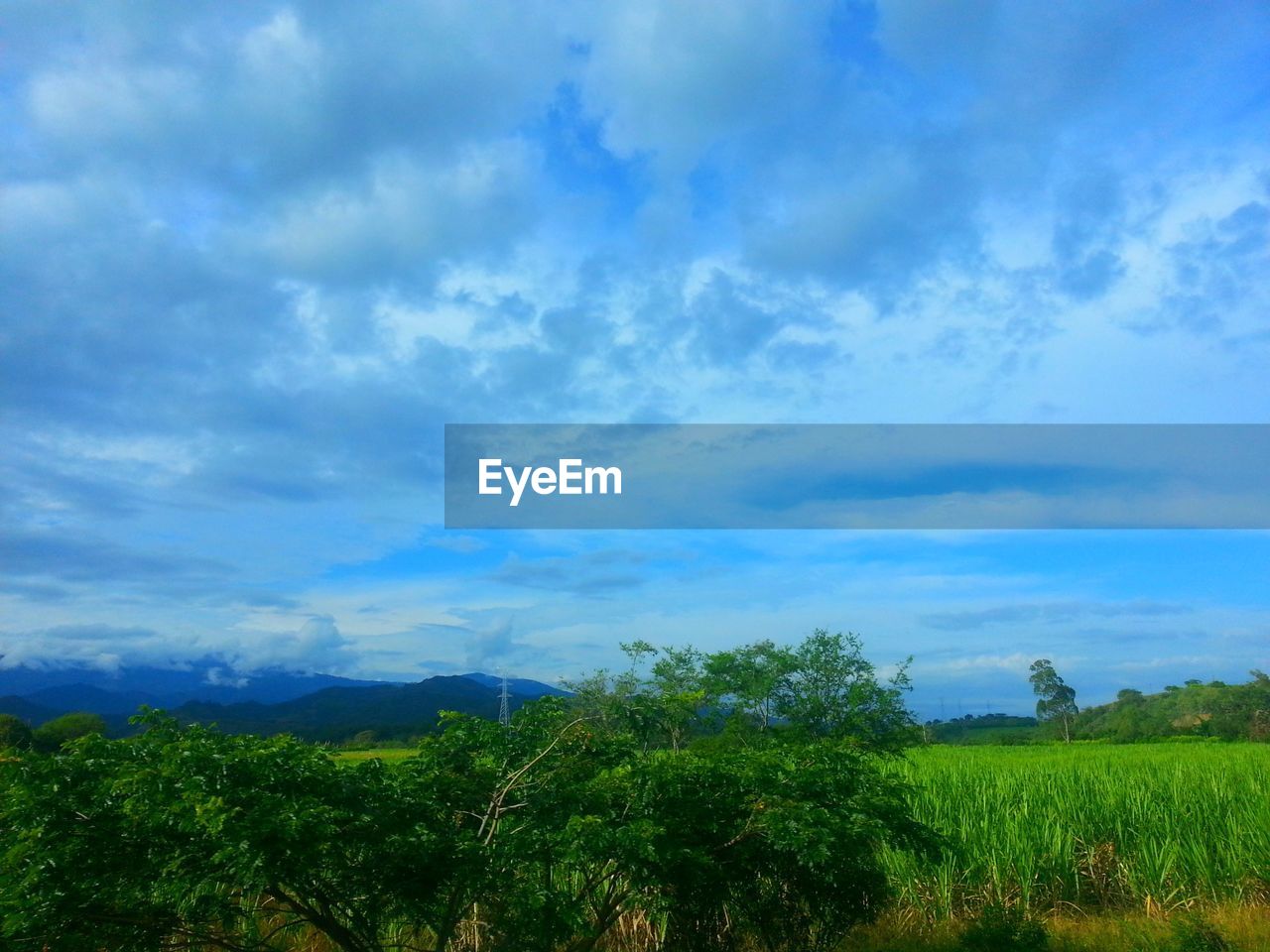 SCENIC VIEW OF LANDSCAPE AGAINST CLOUDY SKY