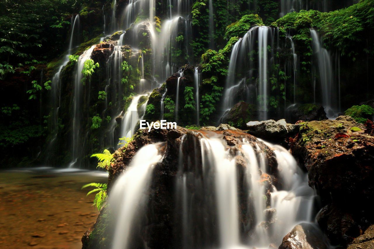 Waterfall in forest