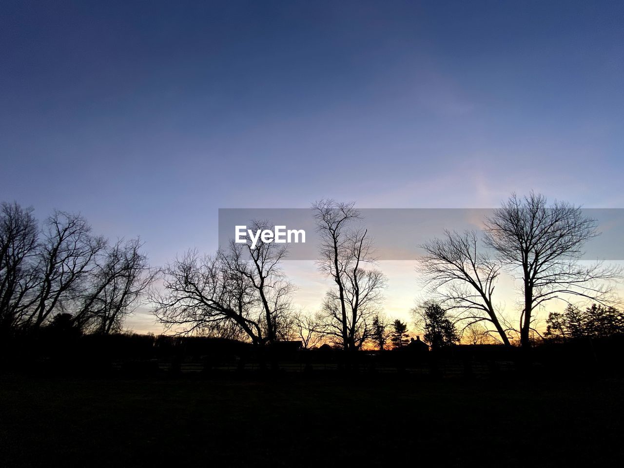 SILHOUETTE BARE TREES ON FIELD DURING SUNSET