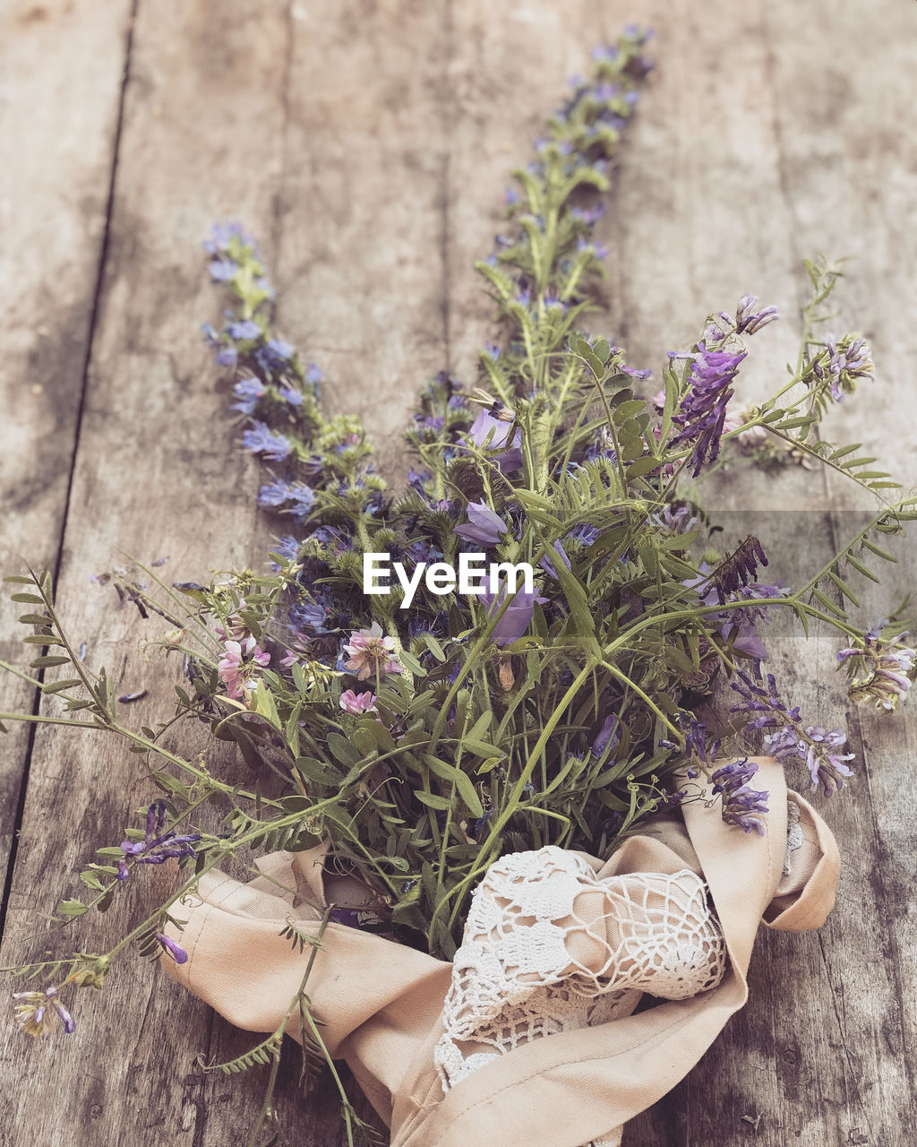 High angle view of purple flowers on land