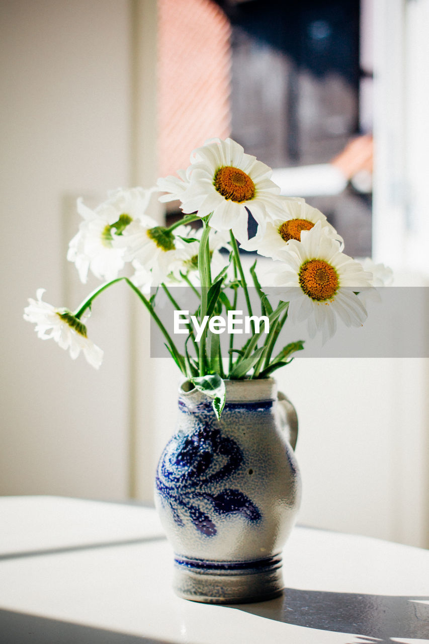 Close-up of white flowers in vase on table at home