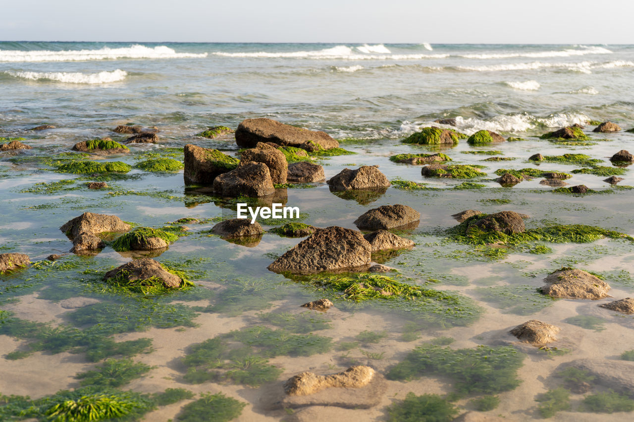 Scenic view of sea shore against sky