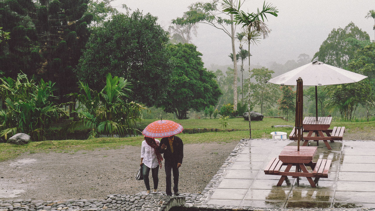 REAR VIEW OF A WOMAN WITH RAIN UMBRELLA