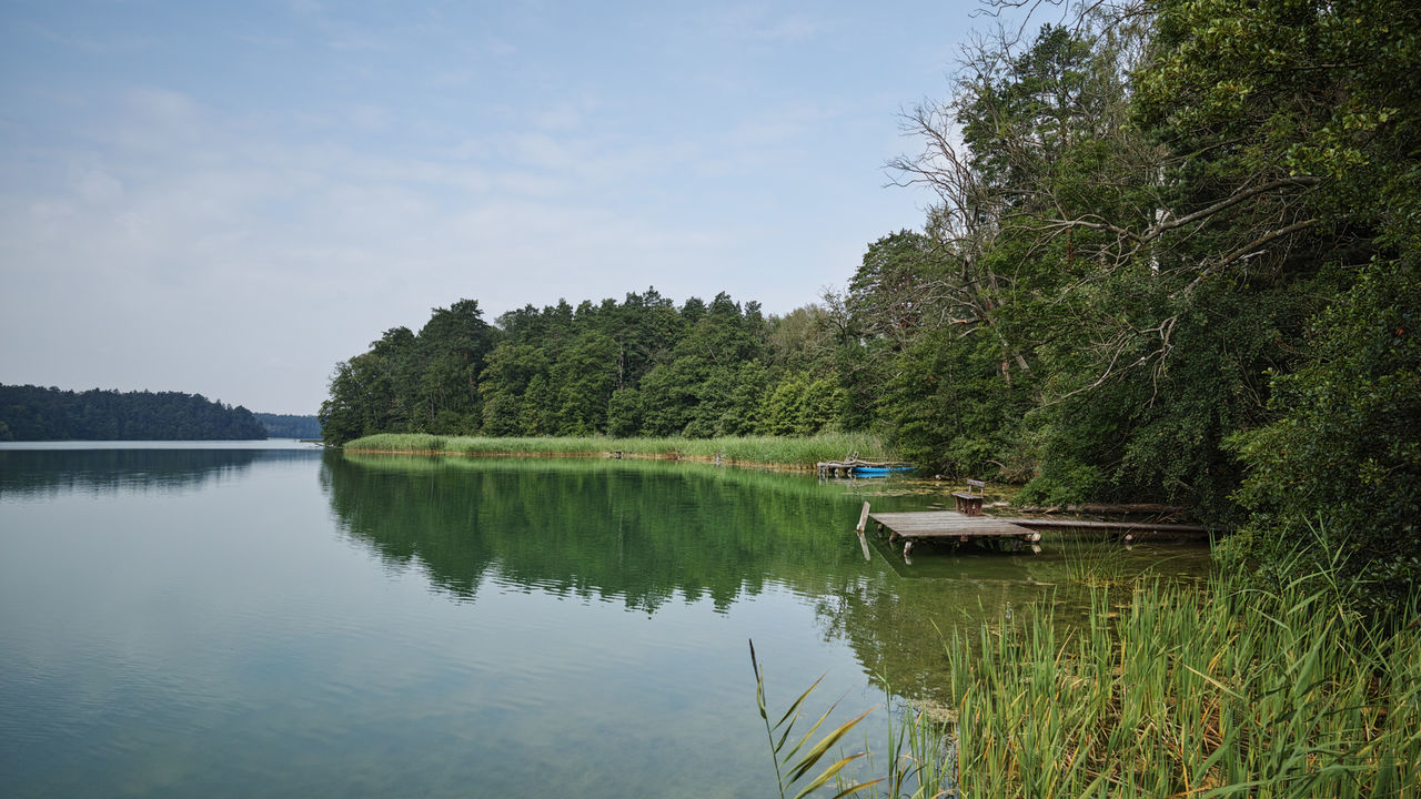 Lake by trees in forest against sky