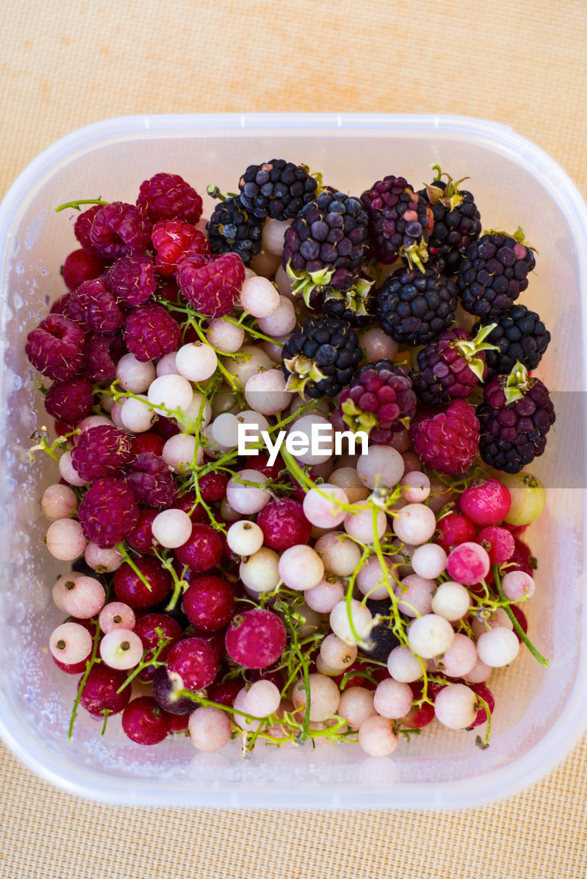 HIGH ANGLE VIEW OF GRAPES IN BOWL