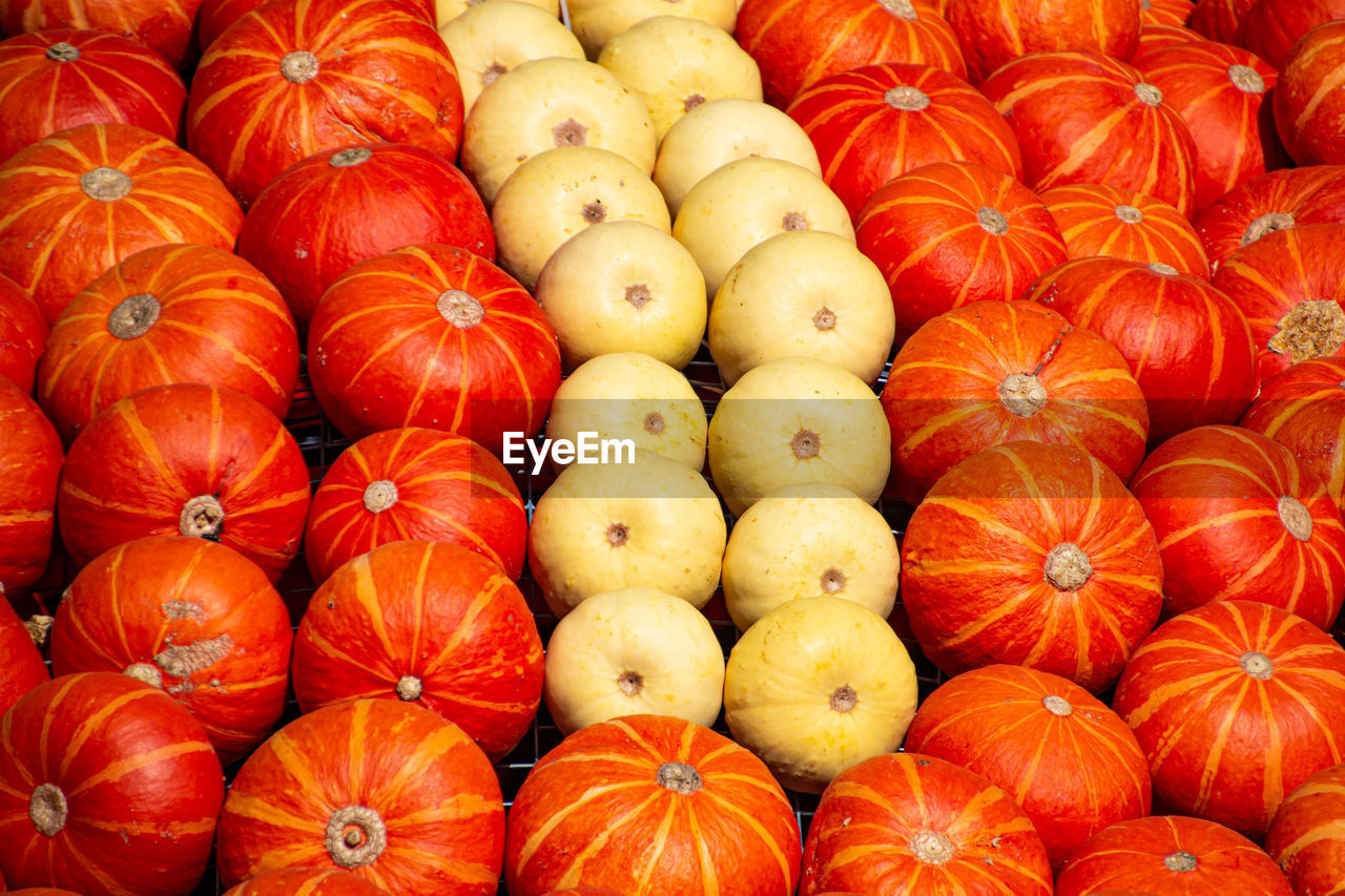 Full frame shot of pumpkins for sale at market stall