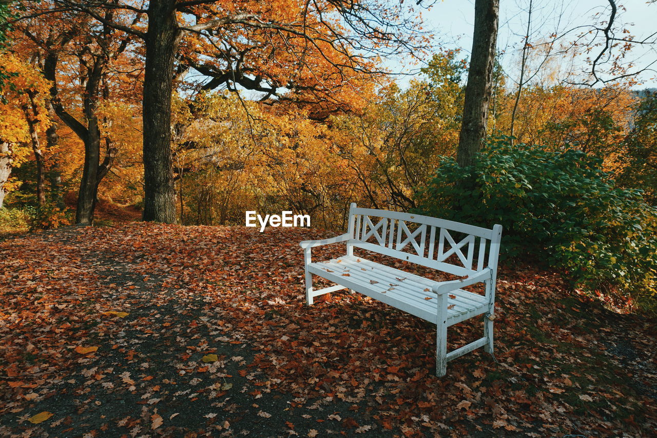 INFORMATION SIGN IN PARK DURING AUTUMN