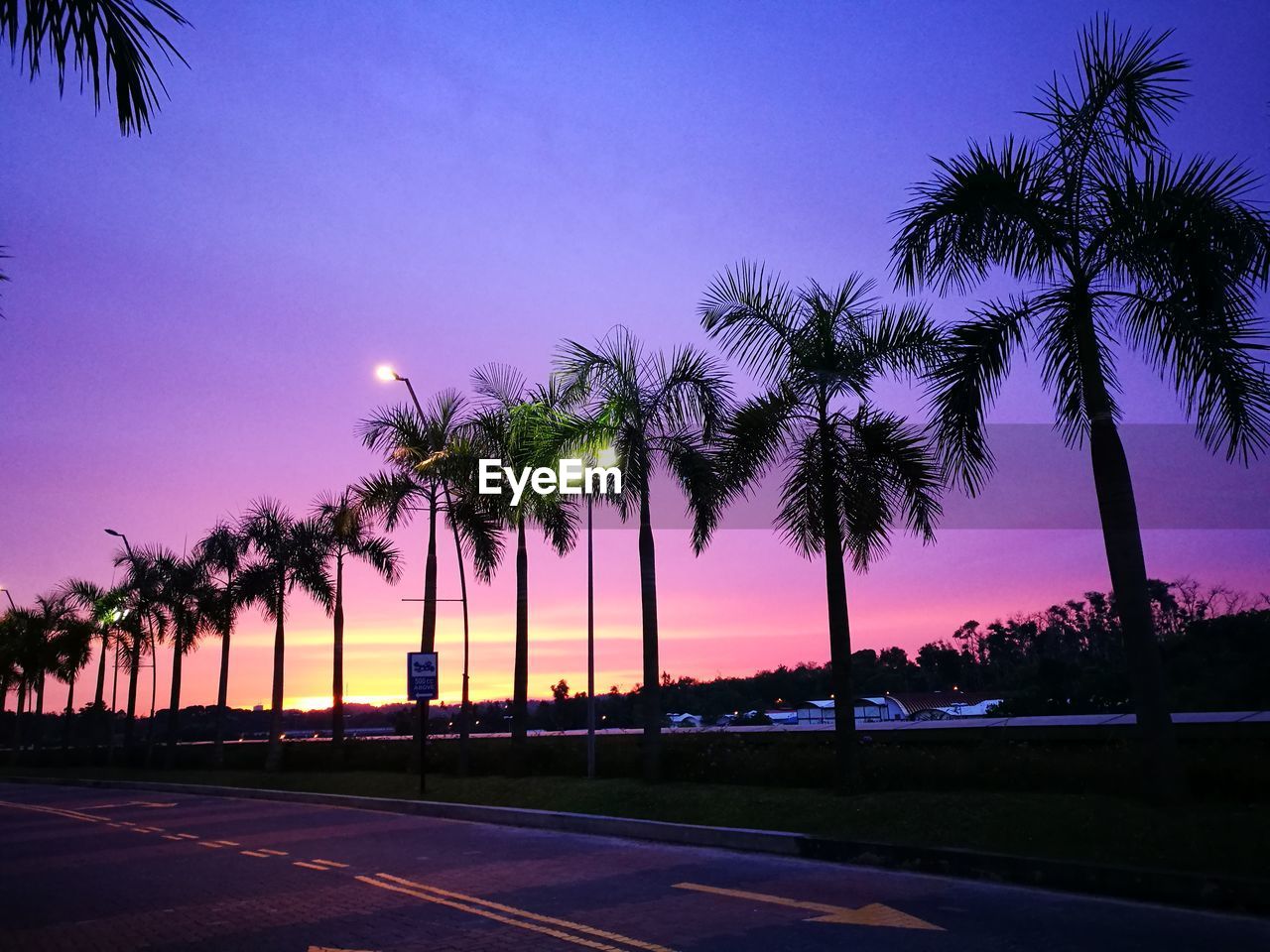 SILHOUETTE PALM TREES AGAINST CLEAR SKY AT SUNSET