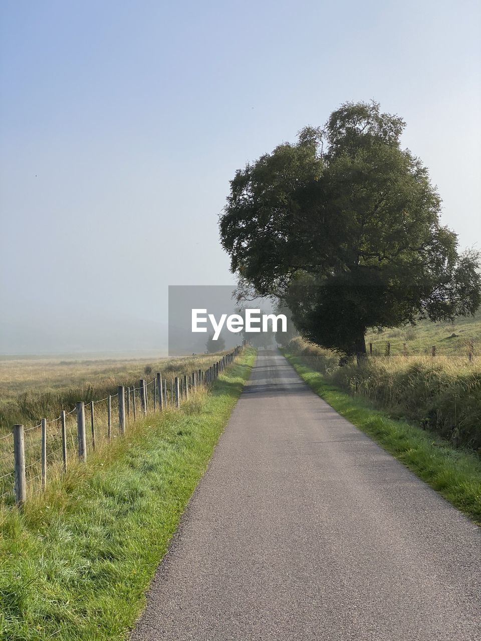 ROAD AMIDST TREES ON FIELD AGAINST SKY