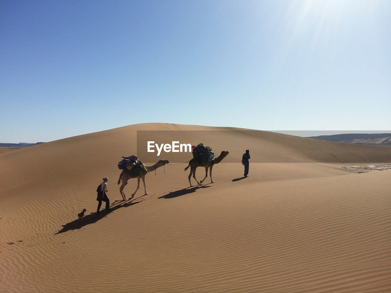 PEOPLE RIDING HORSES IN DESERT AGAINST CLEAR BLUE SKY