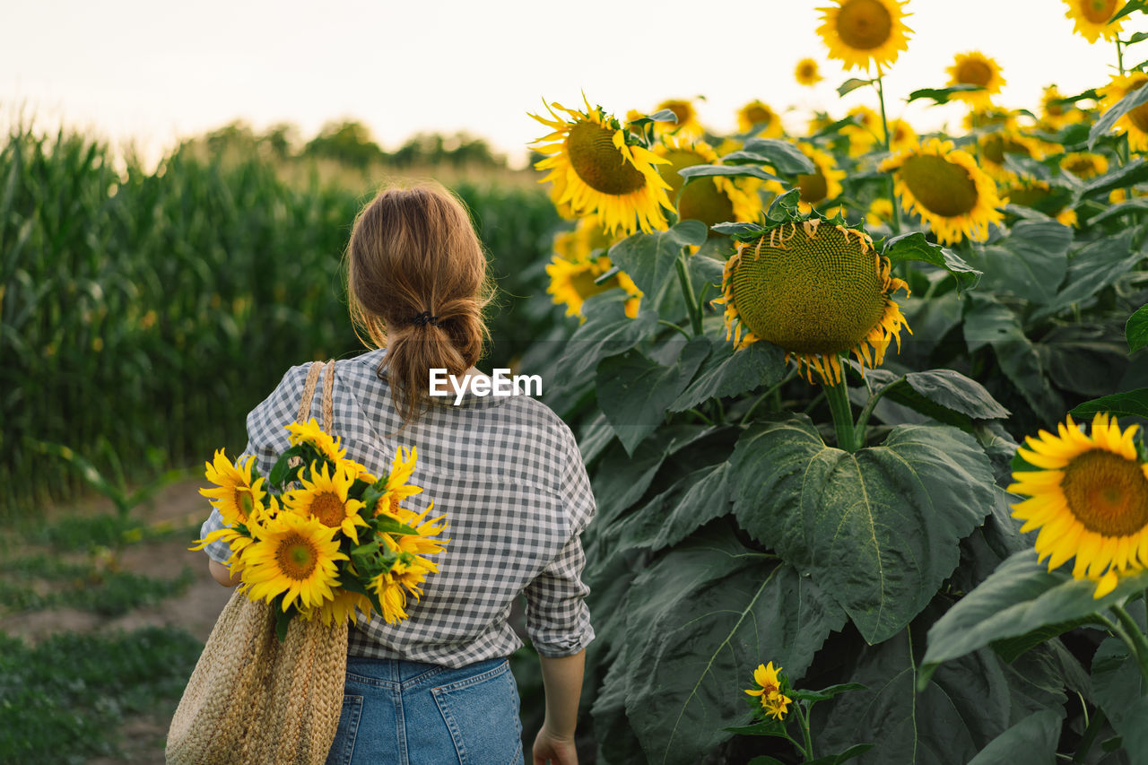 Beautiful young woman with sunflowers enjoying nature and laughing on summer sunflower field.