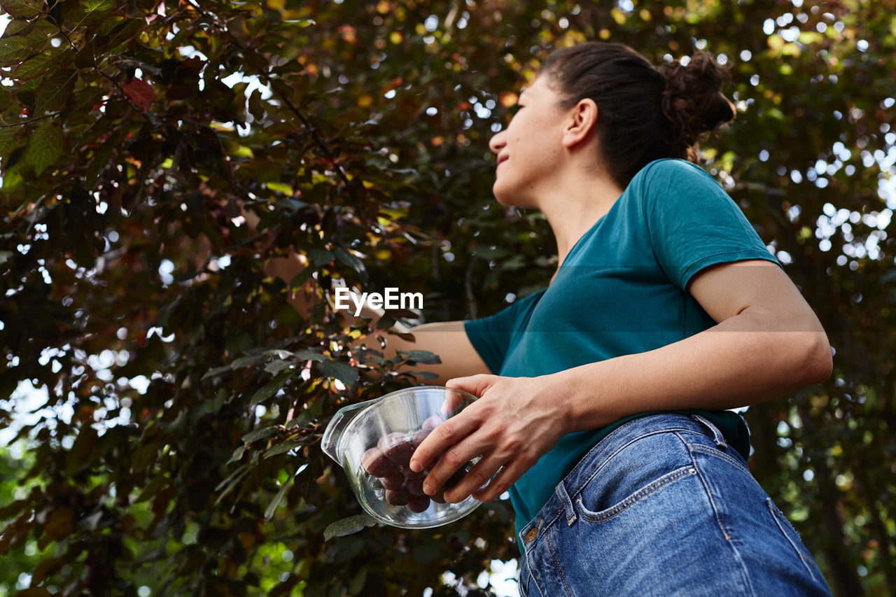 Low angle view of young woman picking fruits from beautiful colored tree