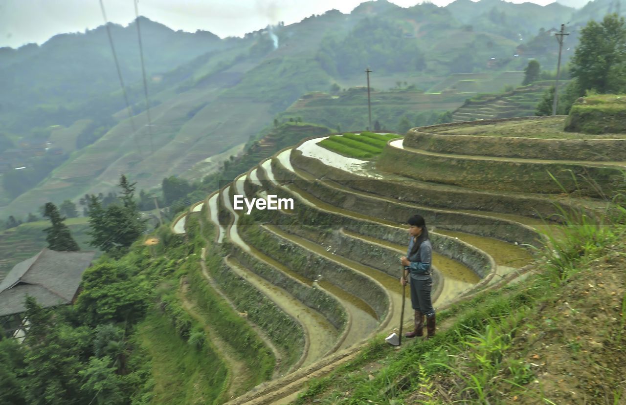 HIGH ANGLE VIEW OF WOMAN WALKING ON AGRICULTURAL LANDSCAPE