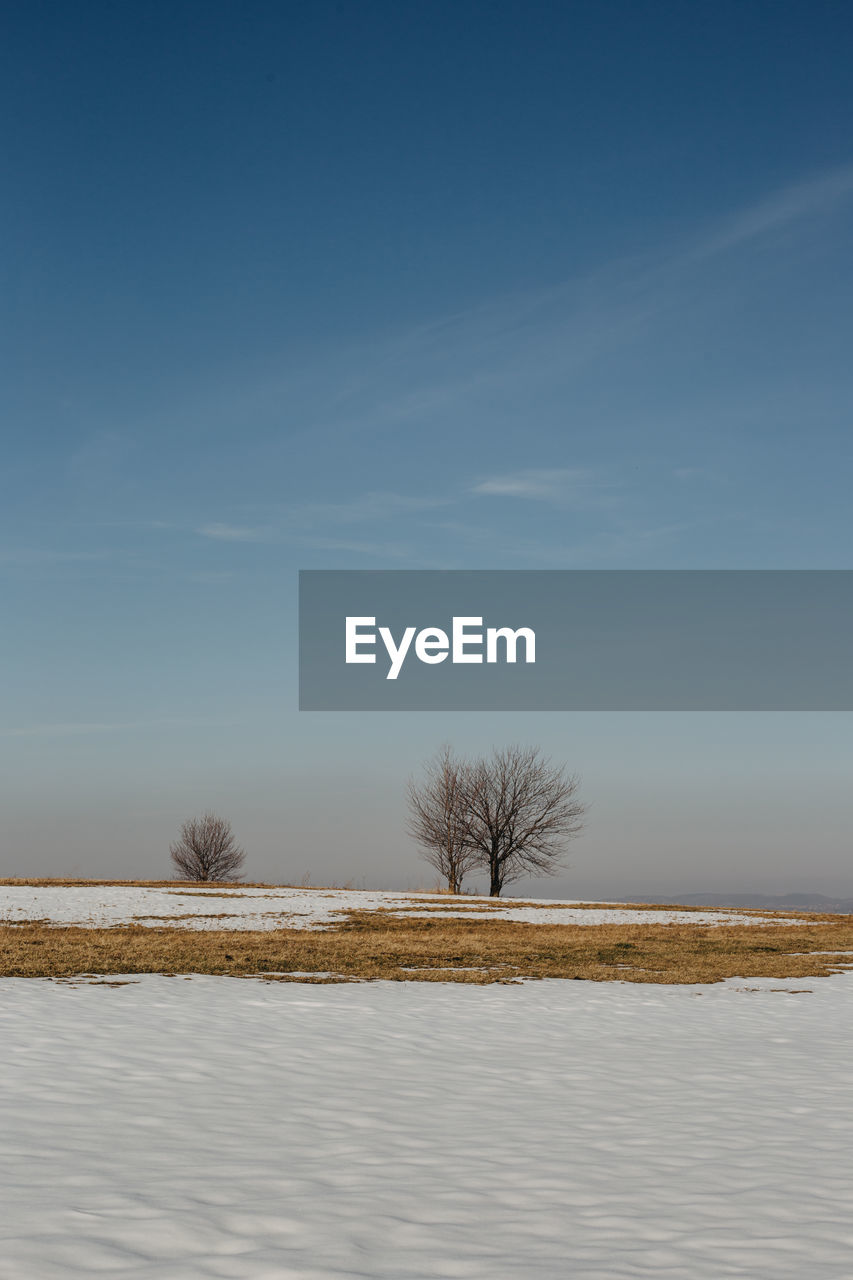 Bare trees on field against sky during winter