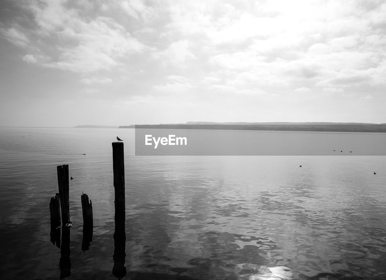 WOODEN POSTS ON SEA AGAINST SKY