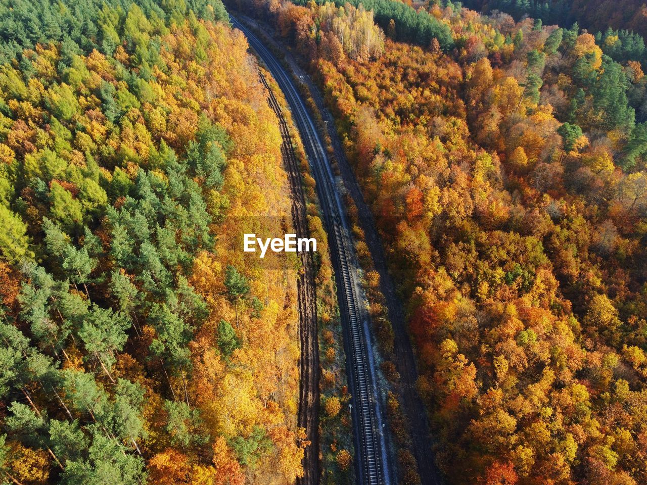 High angle view of road amidst trees during autumn