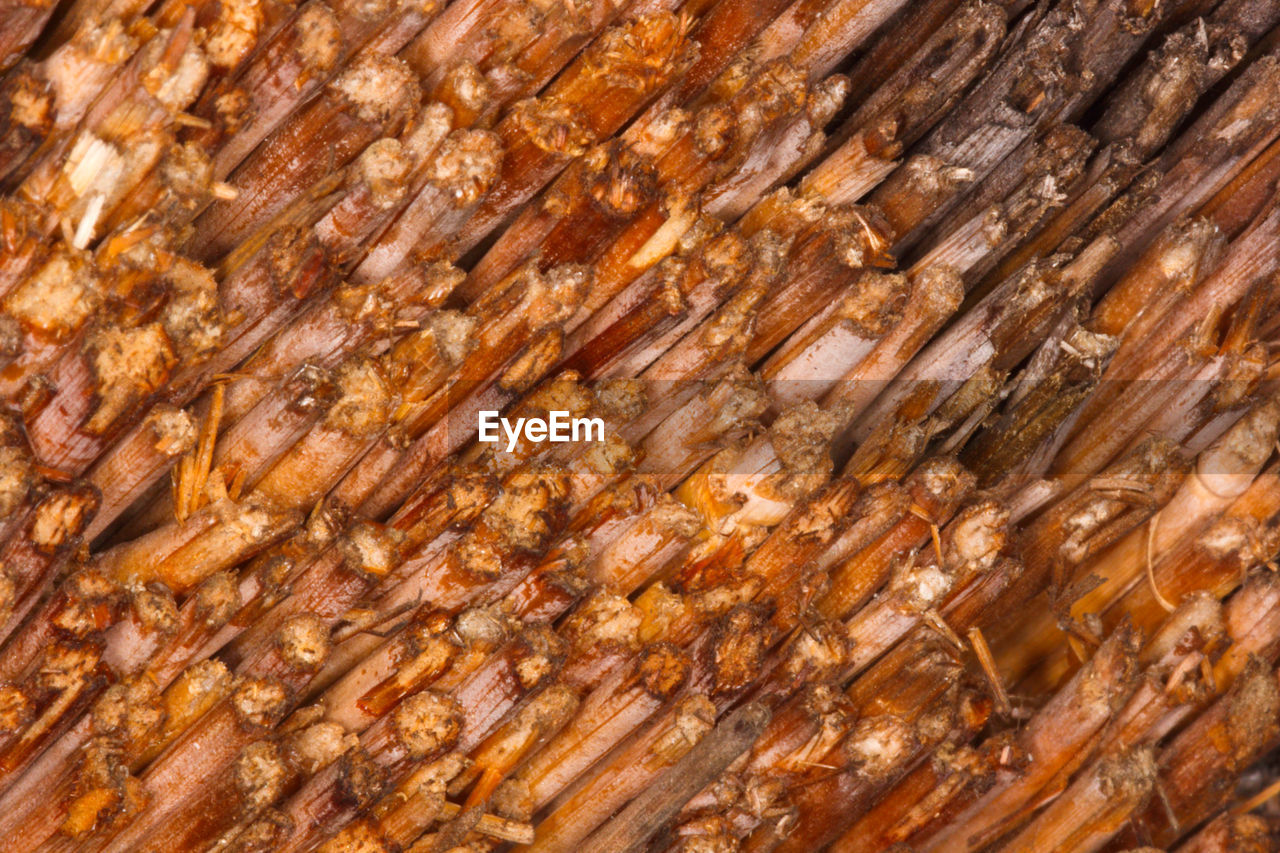 full frame, backgrounds, no people, brown, pattern, wood, close-up, tree, textured, trunk, nature, outdoors, day, food