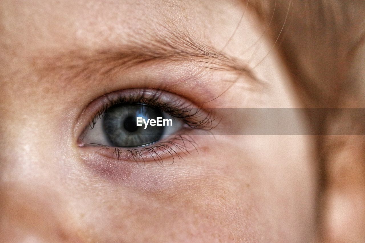 Extreme close up portrait of human eye