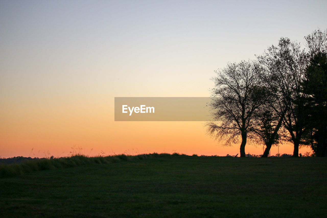 SILHOUETTE TREES ON FIELD AGAINST CLEAR SKY DURING SUNSET