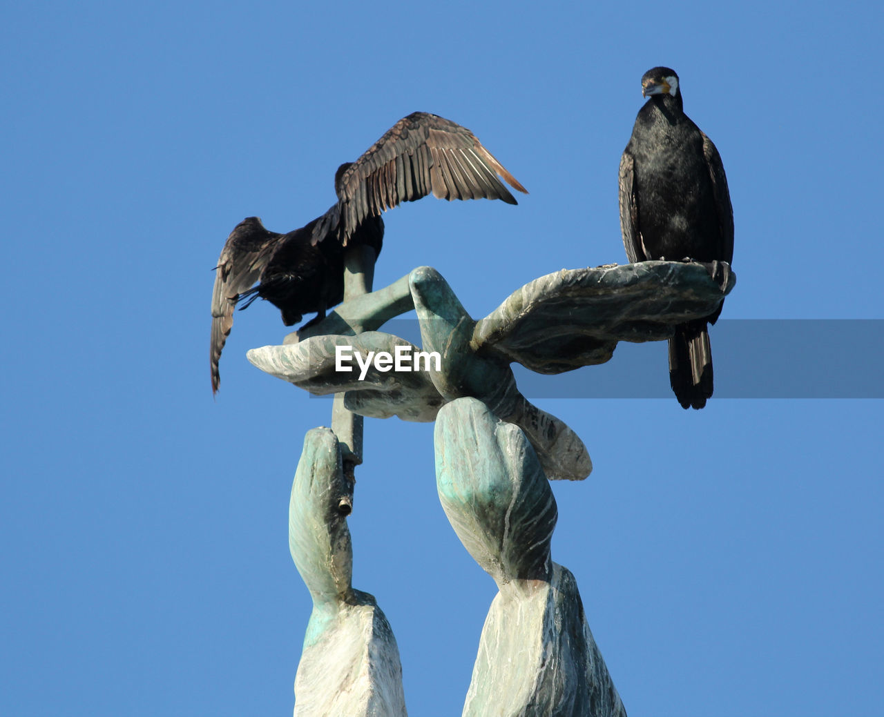 LOW ANGLE VIEW OF BIRDS PERCHING ON STATUE
