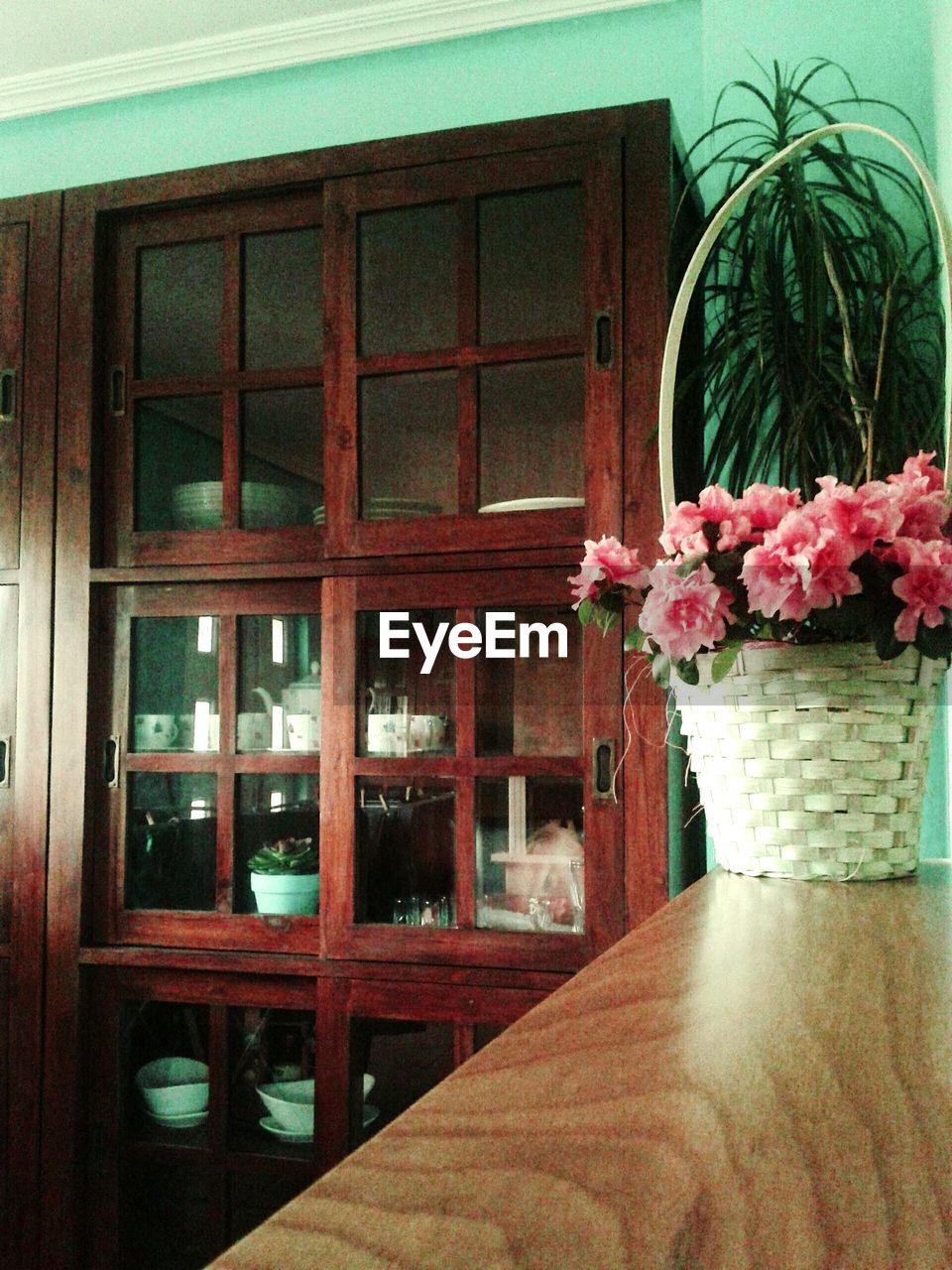 POTTED PLANTS ON WINDOW SILL