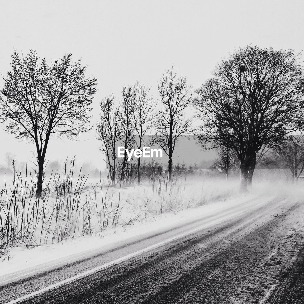 Empty road in fog