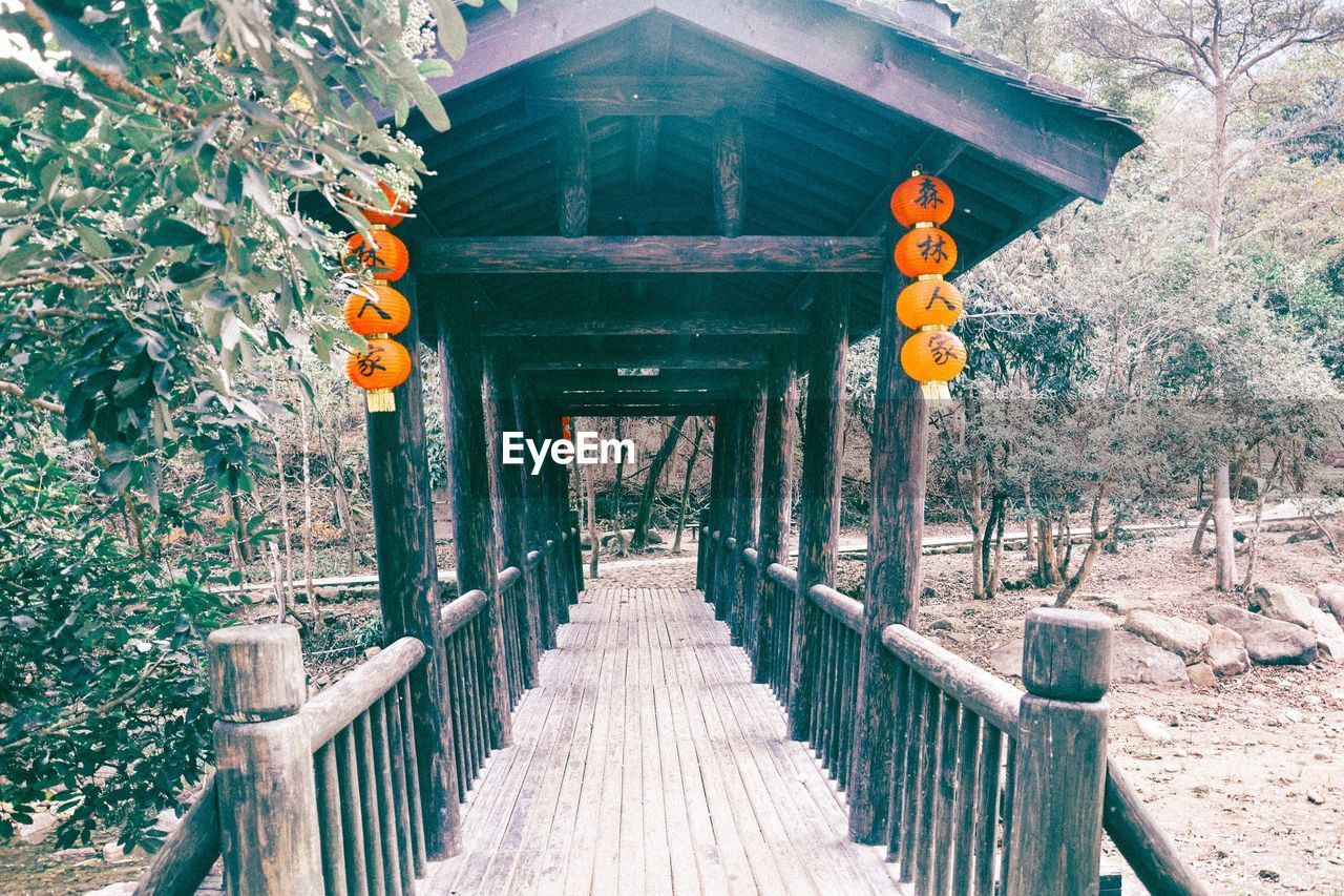 Covered bridge in forest