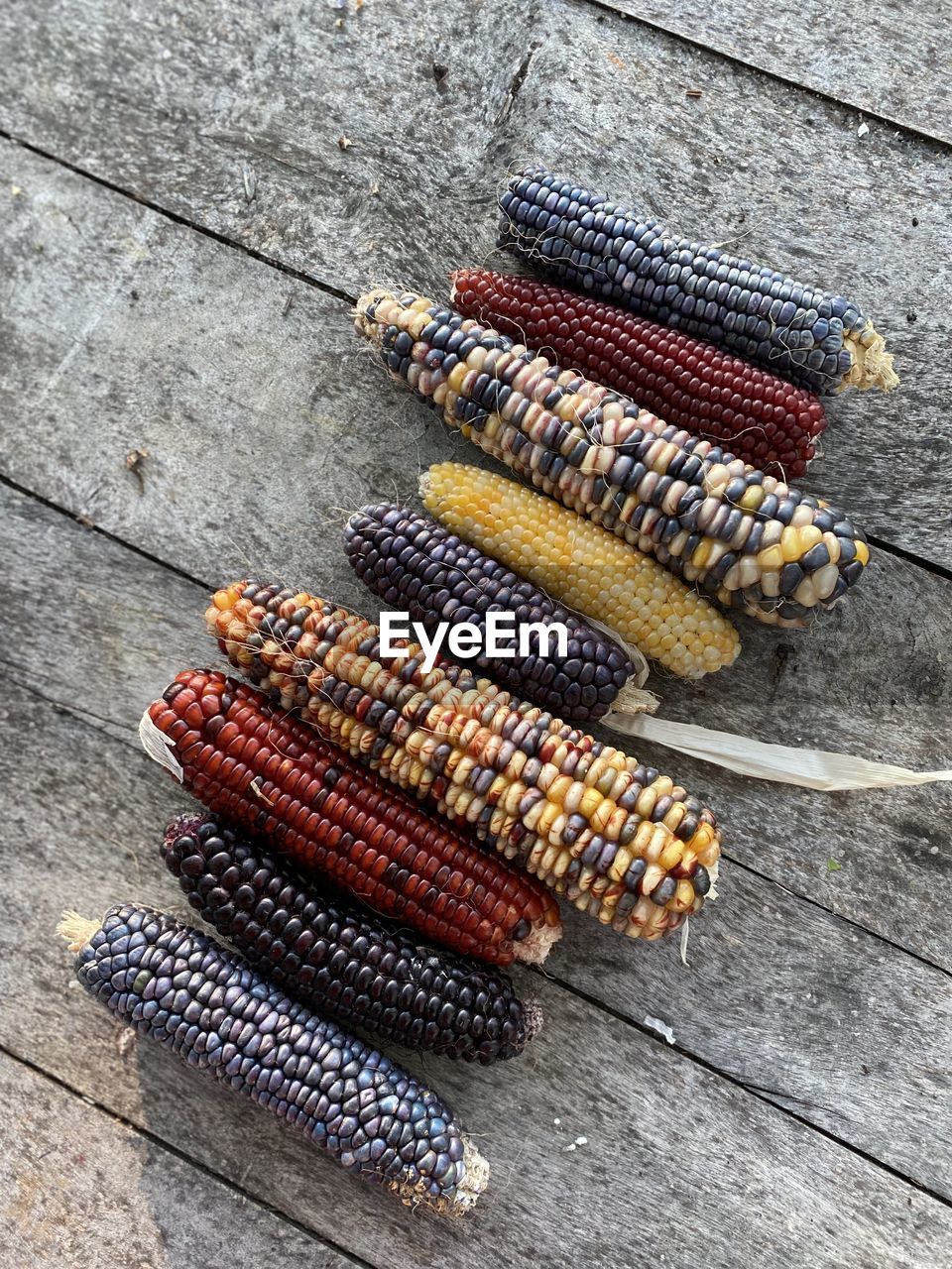 close-up of corns
