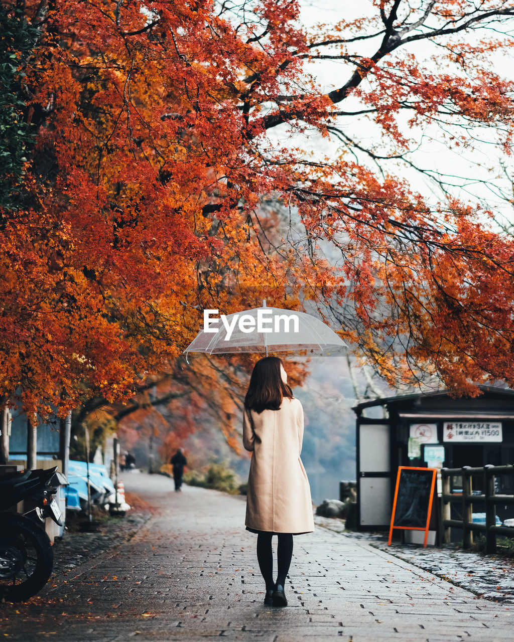 Rear view full length of woman with umbrella walking on footpath during autumn