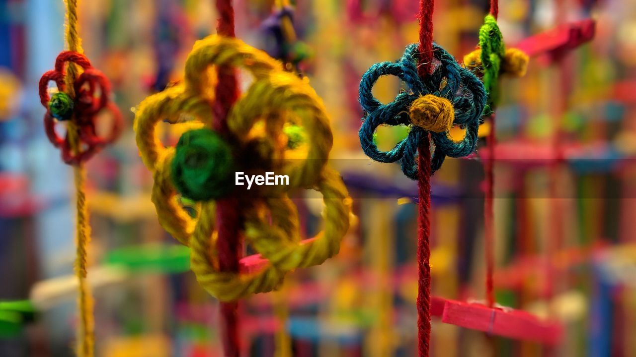 CLOSE-UP OF MULTI COLORED FLOWER FOR SALE