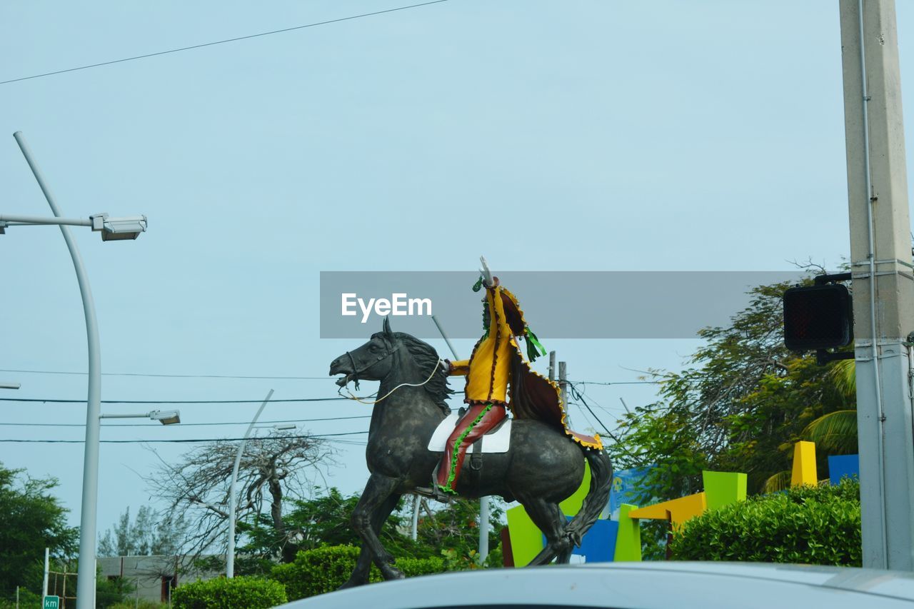 CLOSE-UP OF HORSE AGAINST SKY