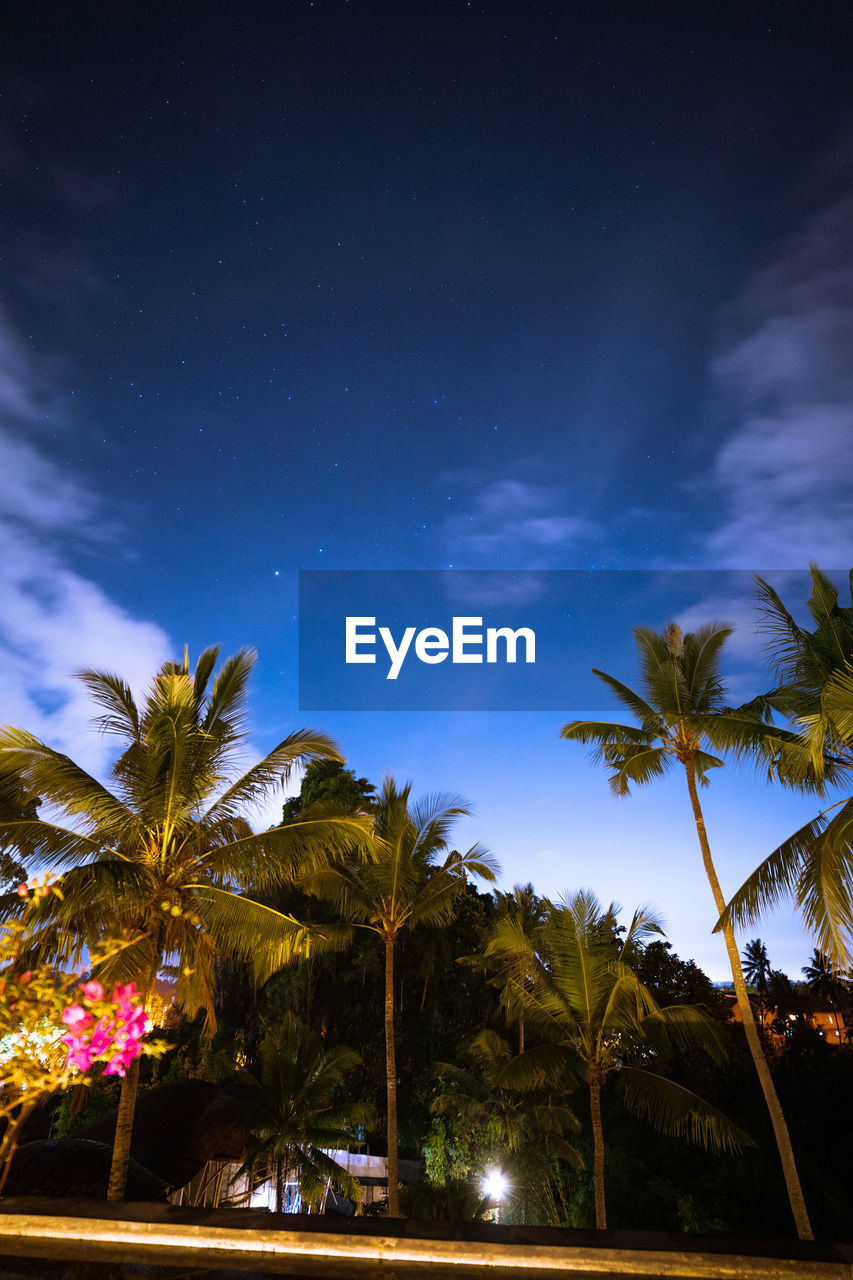 palm tree, tropical climate, tree, night, sky, plant, nature, star, beauty in nature, coconut palm tree, scenics - nature, cloud, travel destinations, dusk, land, evening, tranquility, environment, no people, water, travel, holiday, outdoors, tranquil scene, vacation, blue, trip, idyllic, tropical tree, landscape, space, beach, reflection, tourism, sea