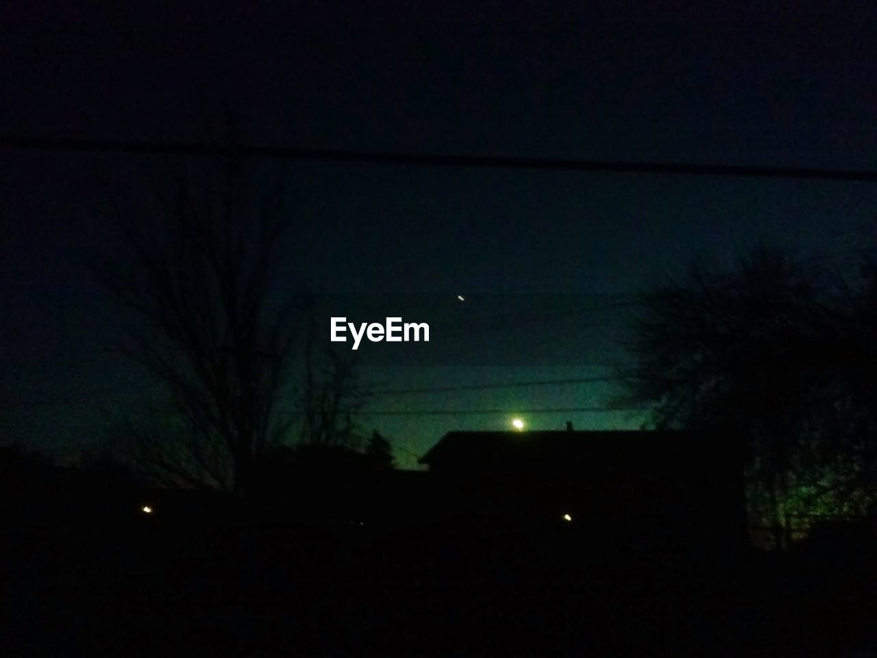 LOW ANGLE VIEW OF ILLUMINATED TREES AGAINST SKY