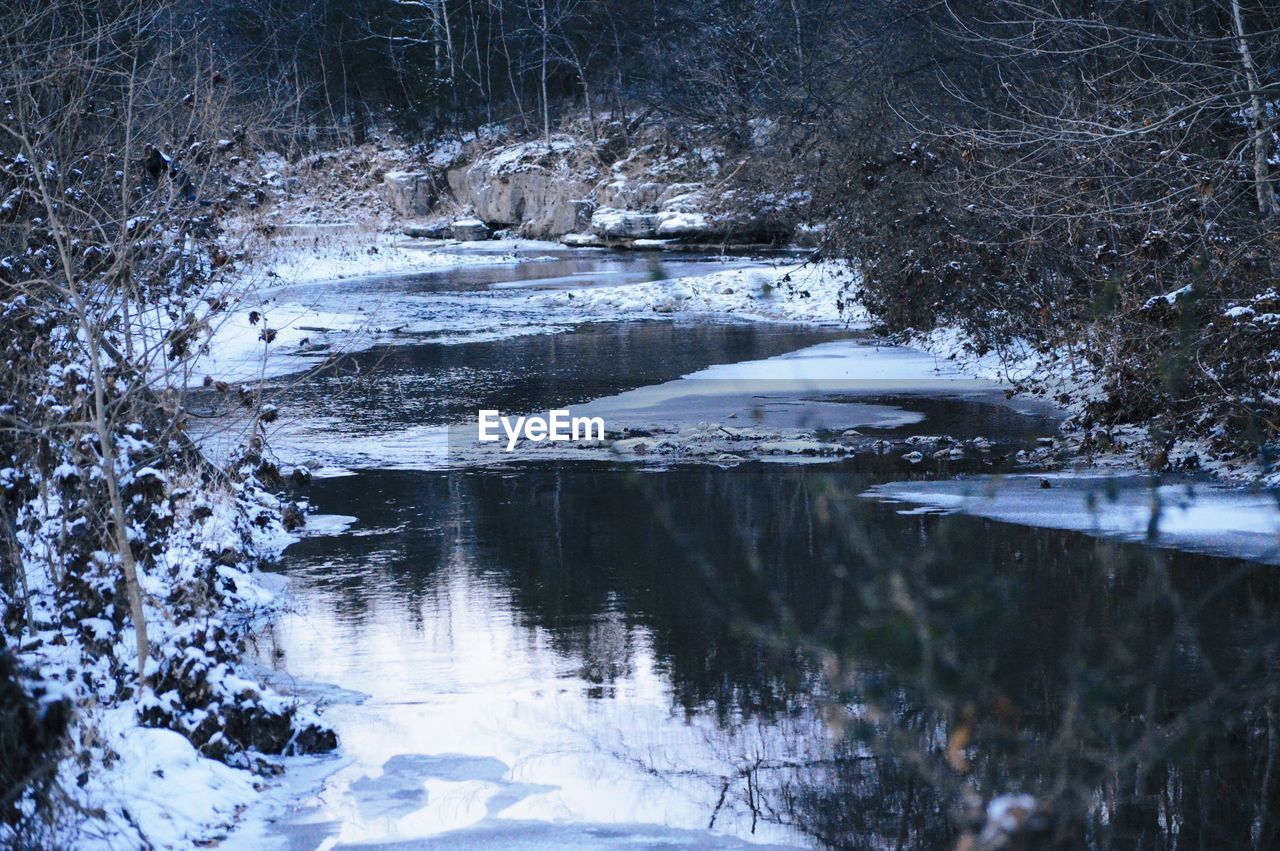 Scenic view of lake in forest during winter