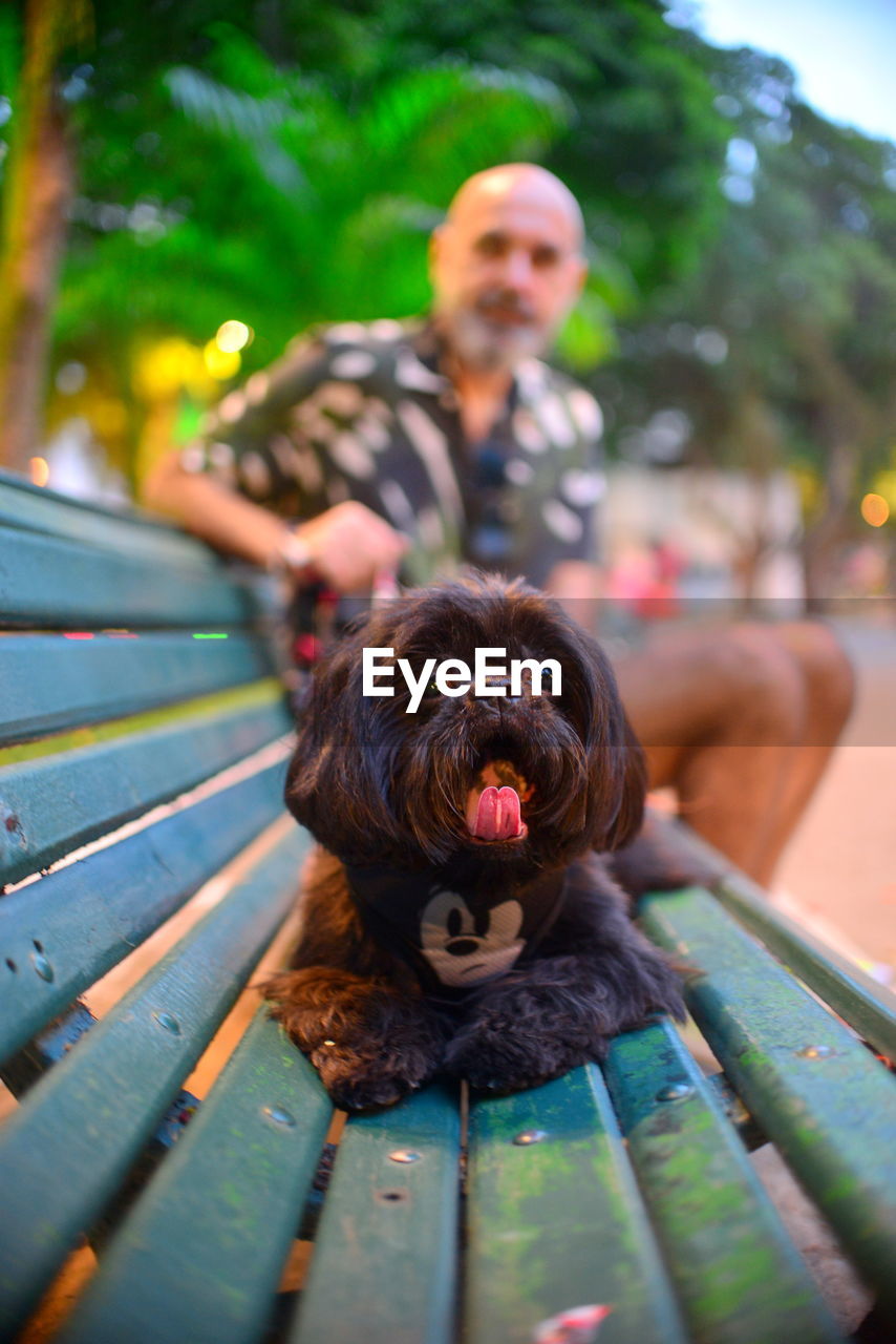 Portrait of dog with man sitting on bench