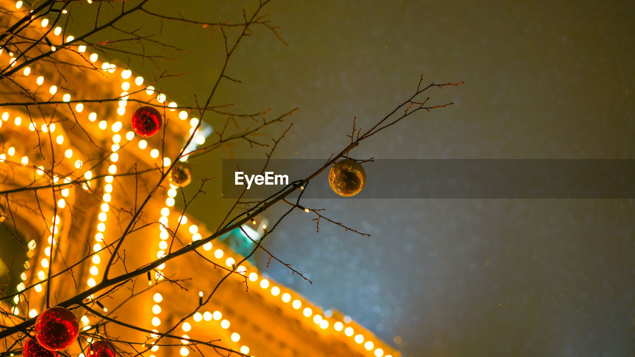 LOW ANGLE VIEW OF ILLUMINATED CHRISTMAS LIGHTS