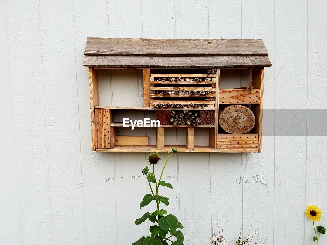 Wooden bee house on wall