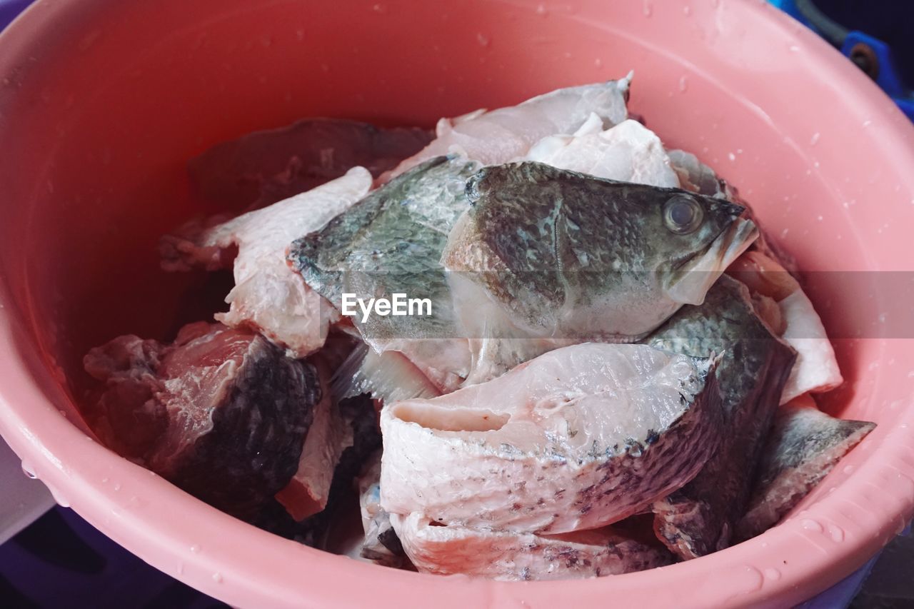 High angle view of fish in bowl