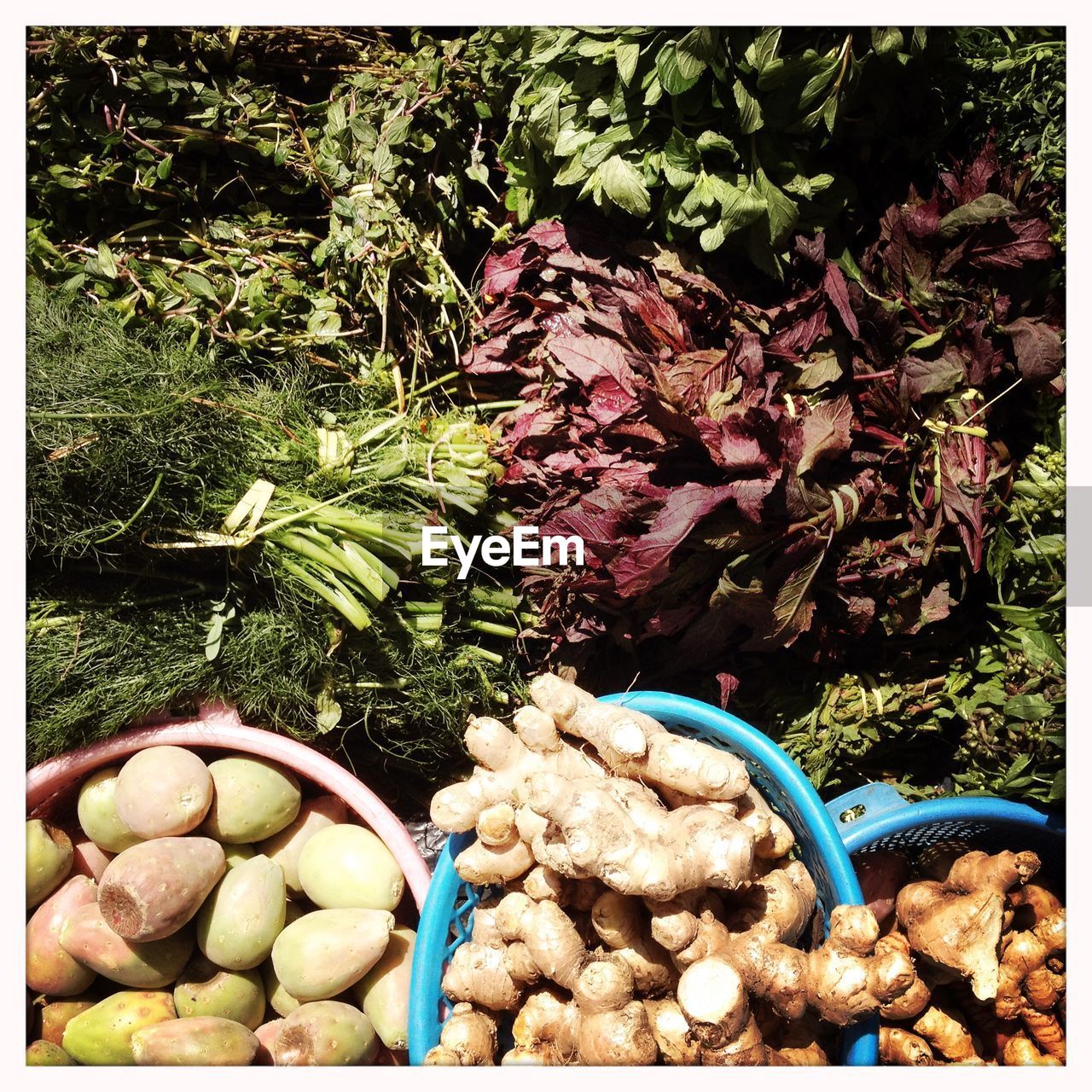 Variety of vegetables for sale in market