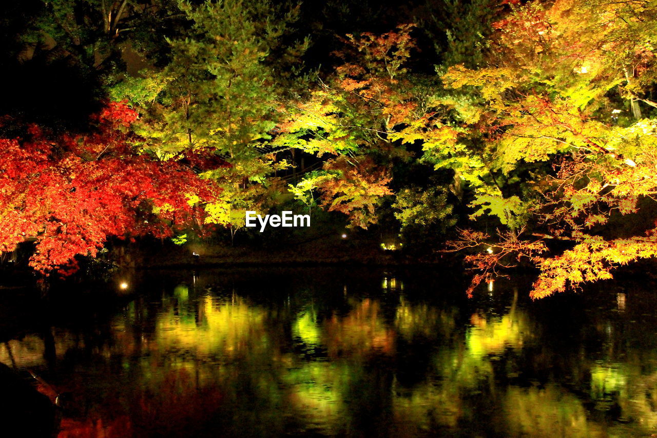 Reflection of trees on lake at night