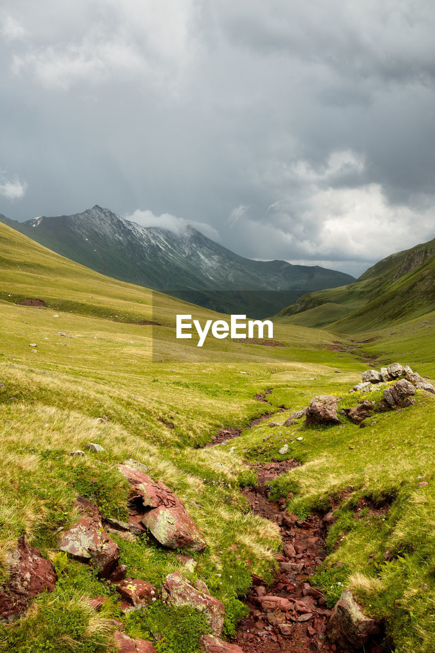 Mountain stream flows over the stones in a green valley among the mountains