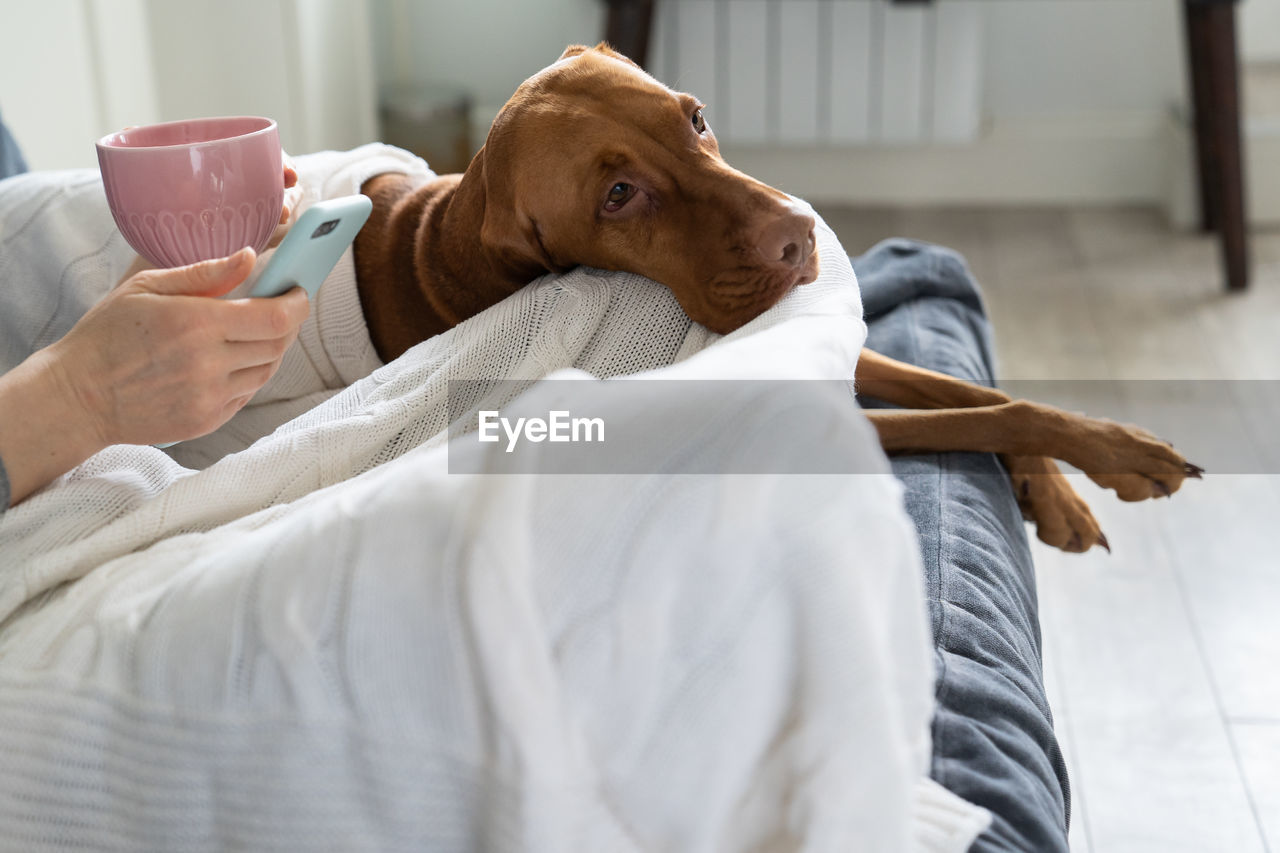 MIDSECTION OF MAN HOLDING COFFEE CUP WITH CHOCOLATE RESTING ON TABLE