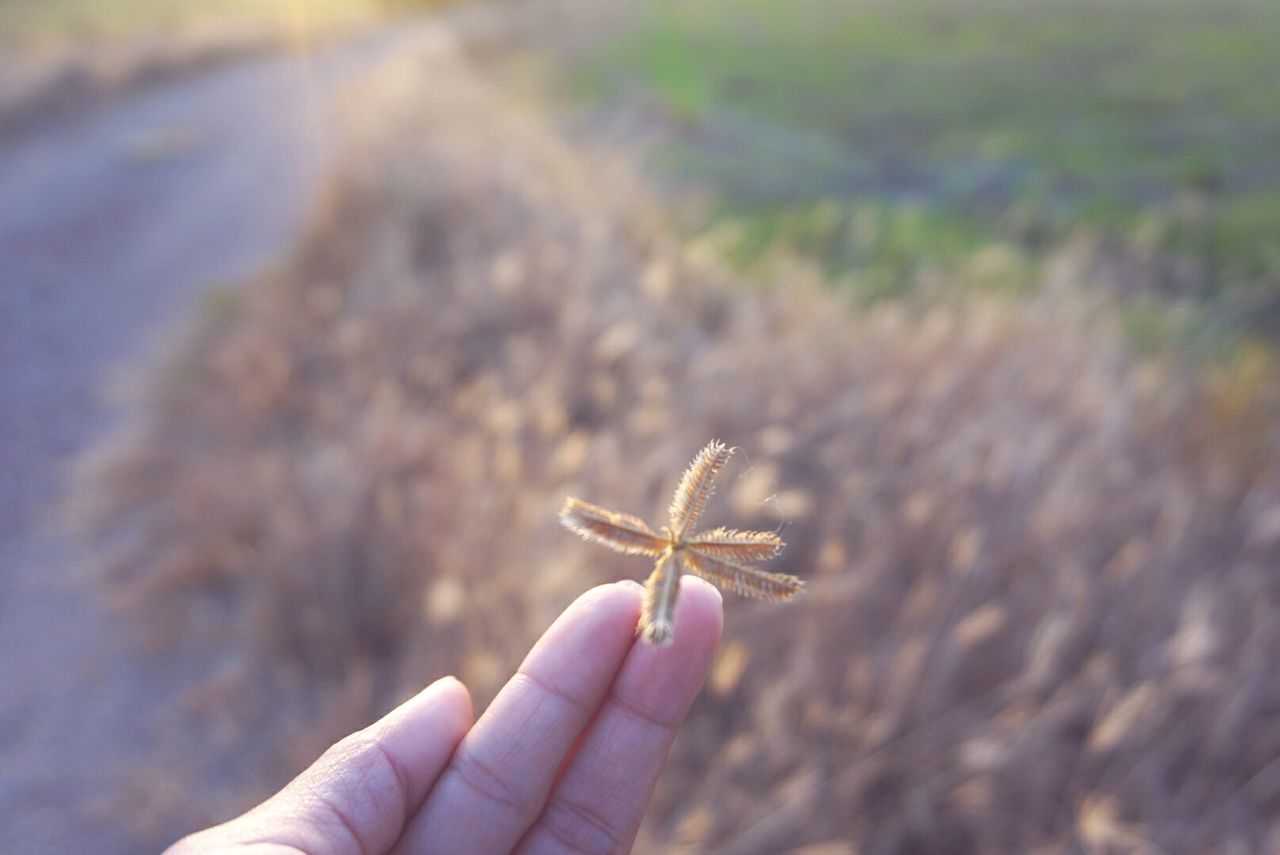 CLOSE-UP OF HAND HOLDING SNAKE