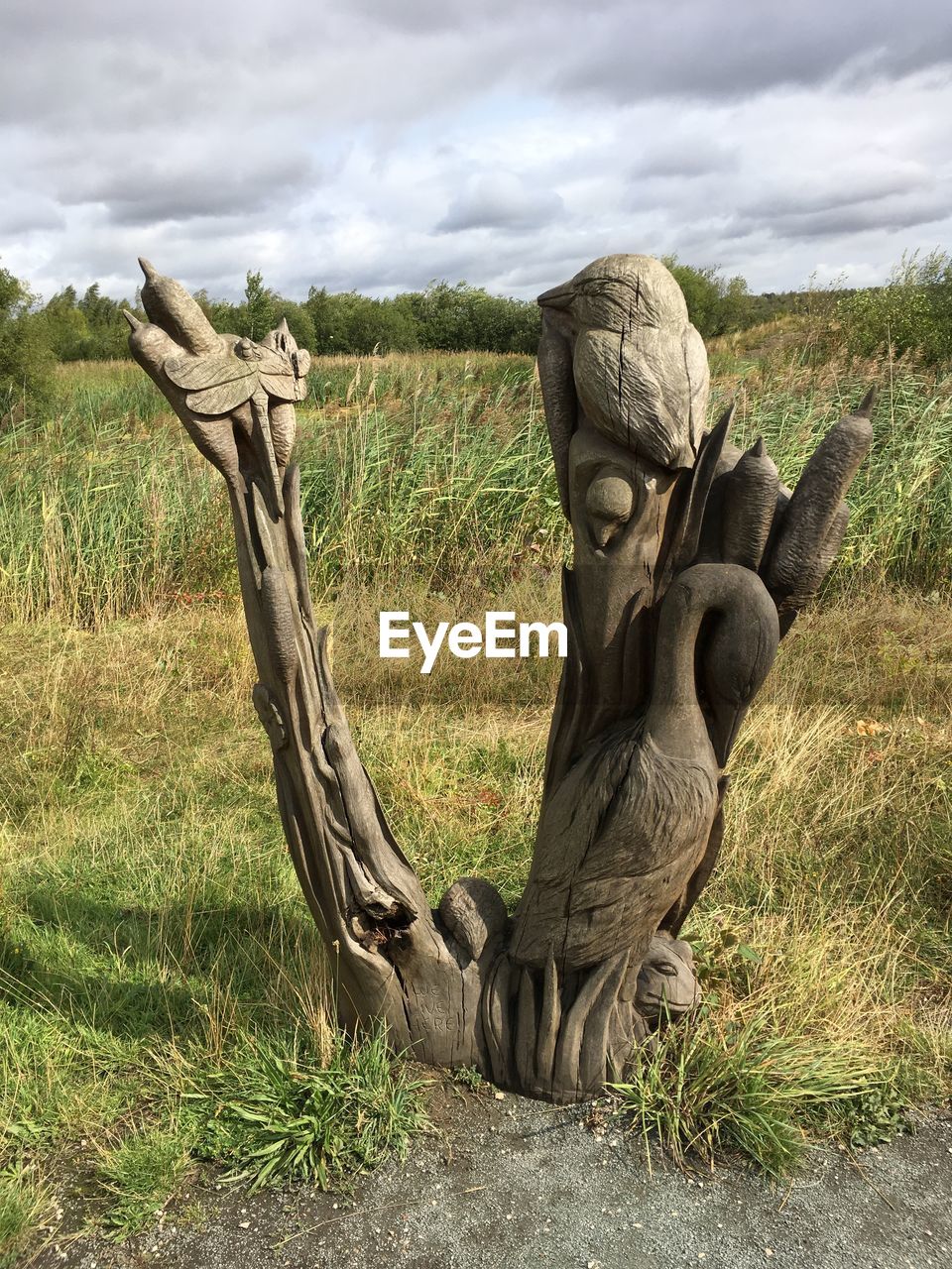 VIEW OF TREE ON FIELD